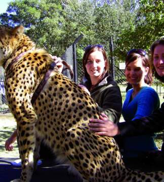 Lesotho, Eswatini & Krüger - Camping oder Lodge Entdeckungsreise mit Safari